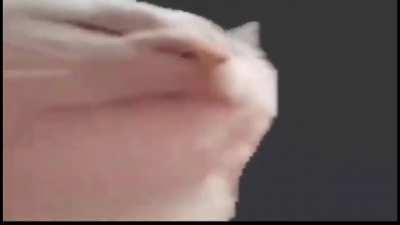 new feh song kinda slaps tbh