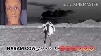 Big chungus movie 2009 indian dub 360p