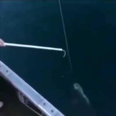 Why bash when you can bang?