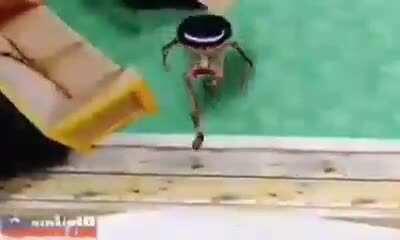 Average day in Mexico