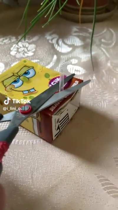 Hell naw spenkbonhg getts his pinis cut 