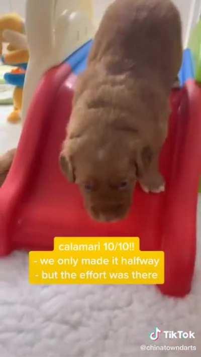 This is my second favorite video