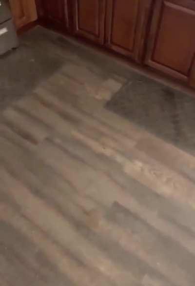 Hey buddy...where’d you get that stick?