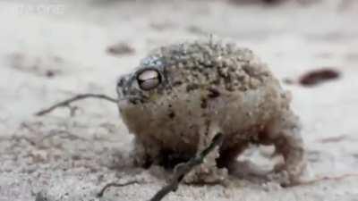 I edited together some of my most prized death mics. Enjoy <3