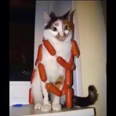 When jojo goes on tiktok: