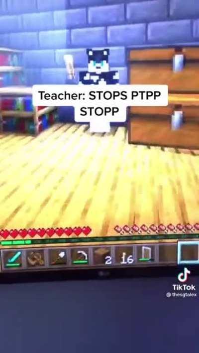 Minecraft Teacher