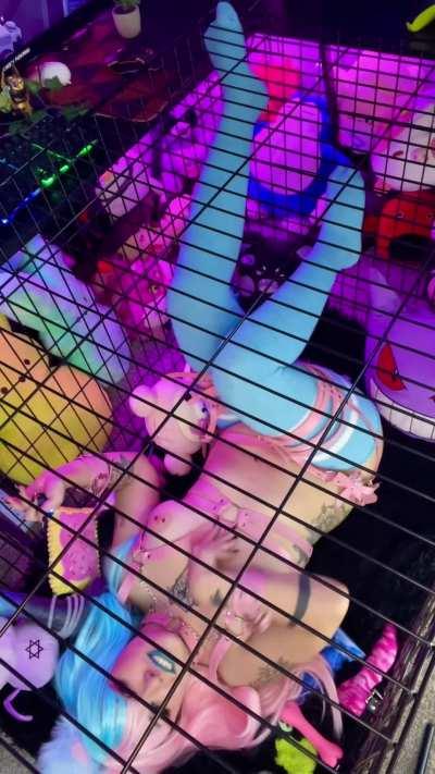 Good puppies stay in their cages