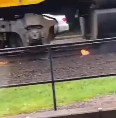 Train hits autonomous food delivery robot