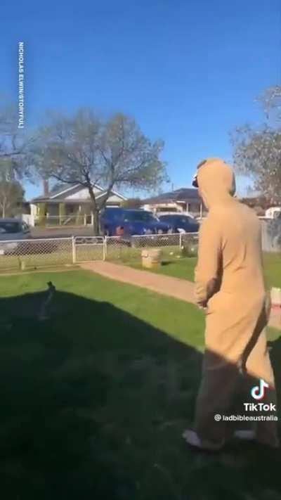 Normal day in Australia