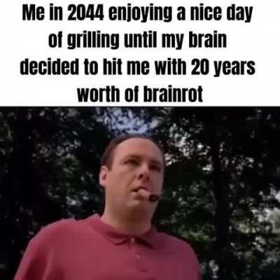 Cant wait for this brainrot era to soon end
