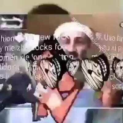 😂😂😂😂😂😂😂