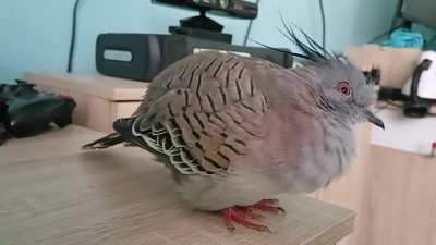 Zazie has something to say