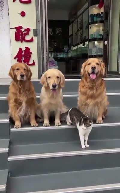 When your friends want you in the photo but you’re not interested…