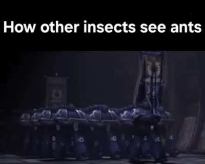 Human and Ants are more alike