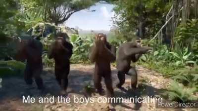 We were asked to make a meme for a school project about communication