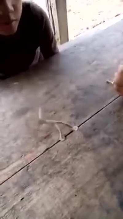 Interesting board game