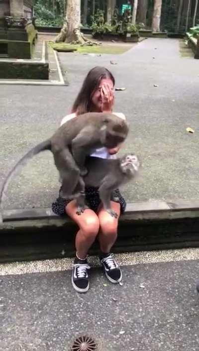 Get a picture with the monkey they said, it'll be fun they said