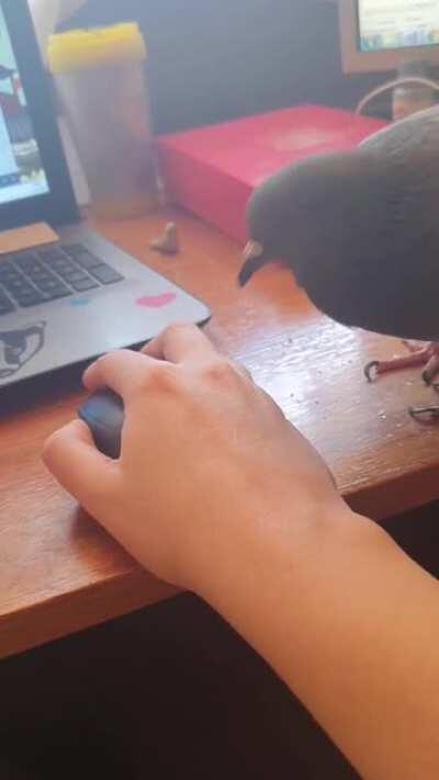 Workplace harassment