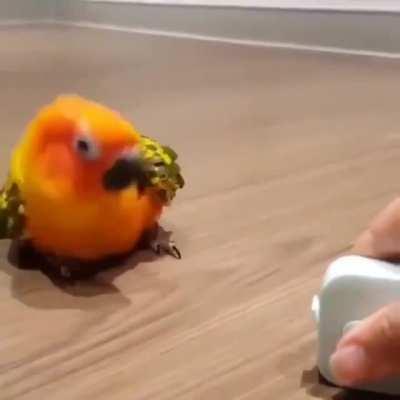 wholsome 100% big chungus keanu reves