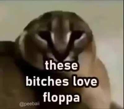 Happy floppa friday 🙂