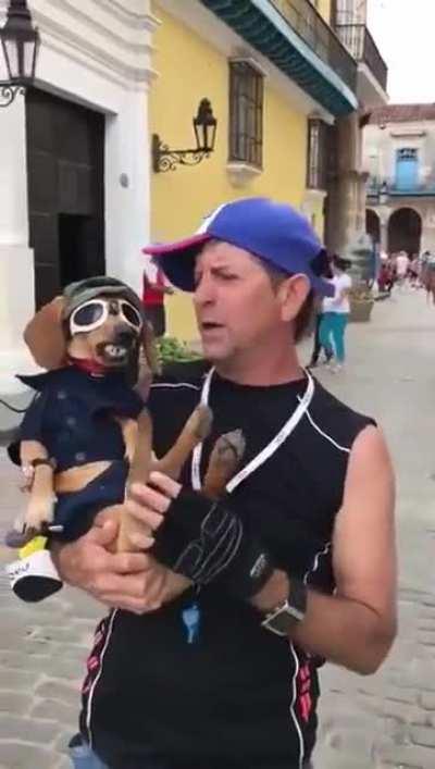 Ülkenin %35'inden daha zeki