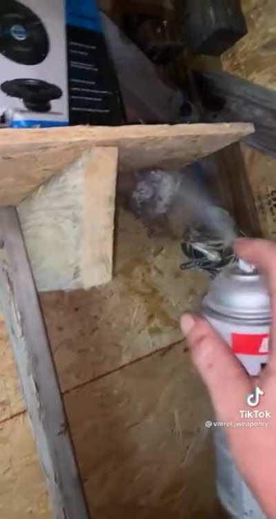 People getting real creative these days