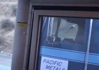 Honk if you like lesbians