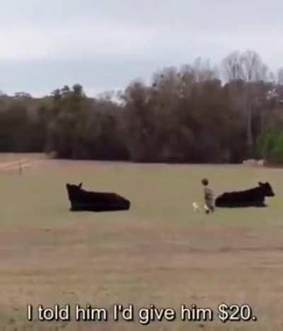 Emily and mom are no fun