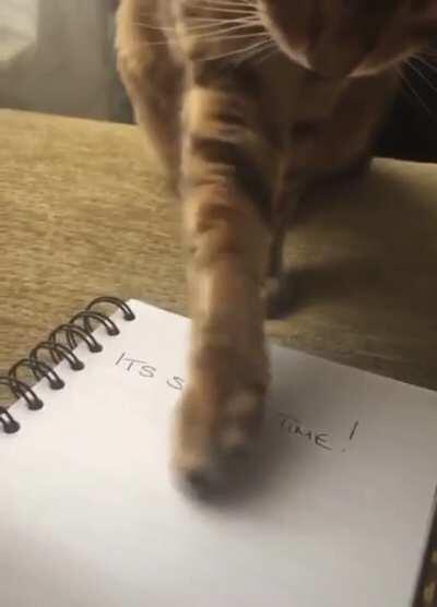 The watchful protector