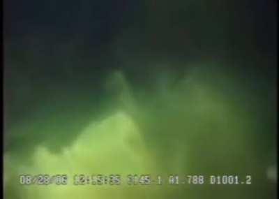 Massive 6-gill shark at 3,300 feet depth.