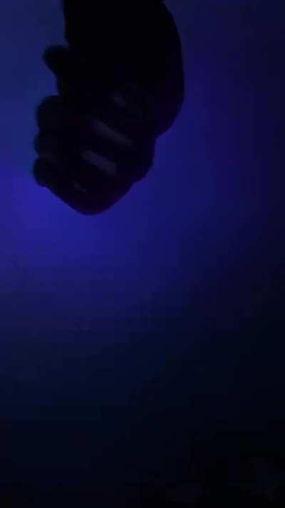 Rolling Loud just dropped the hardest Kanye edit