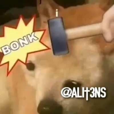 daft bonk