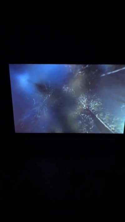 error when playing custom zombies in black ops 3