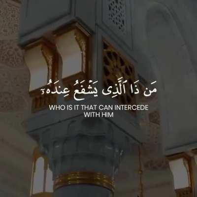 Ayat_Ul_Kursi beautiful Recitation 💕