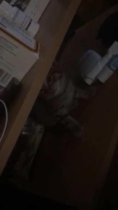 Pretending to be sick to get out of school