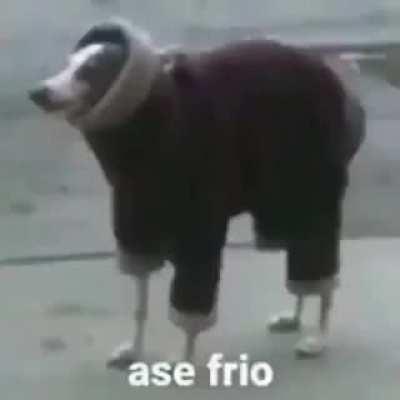 Asé frio acá en el puerto