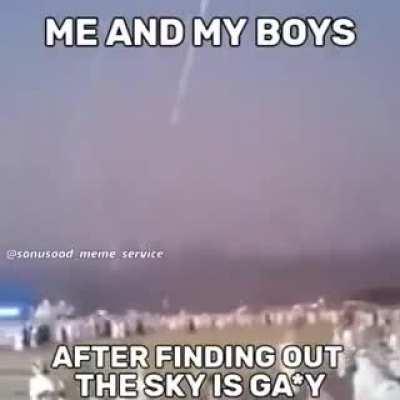 How many birbs died cuz of those mf