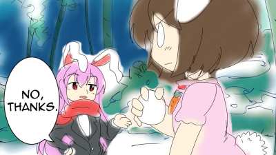 What if Gensokyo had a Snowball Fight Tournament? Who would be the Champion?