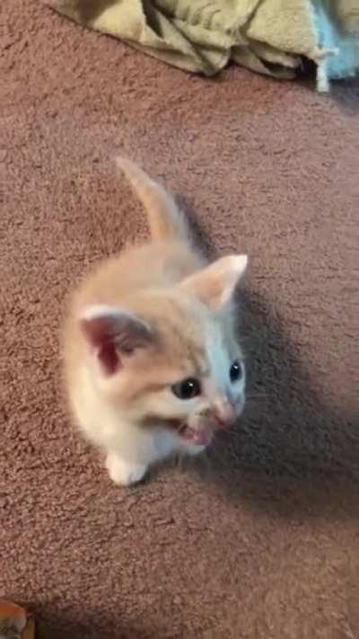 I thought he wanted food. Turned out he just wanted to be held.