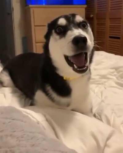 I just touched you and you screamed