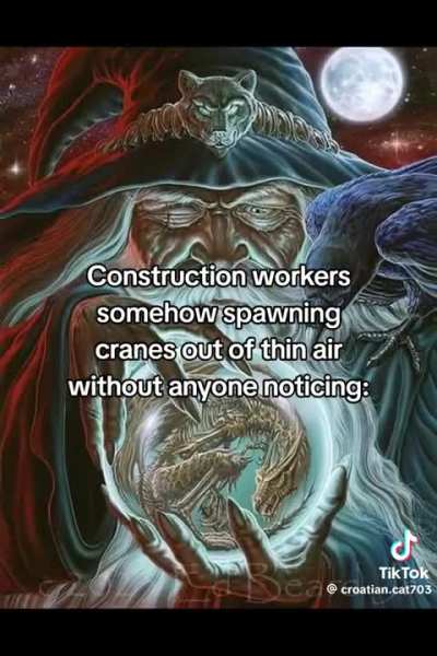 Where did they come from