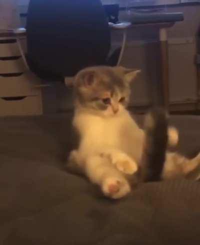 Рекабушник