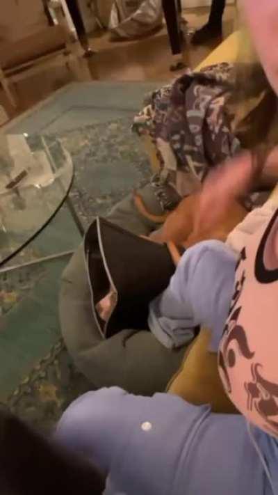 All tit slap videos with slo-mo