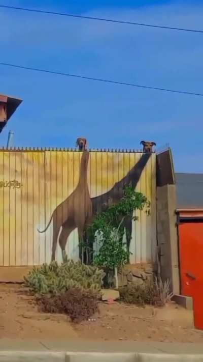 This had me at first.