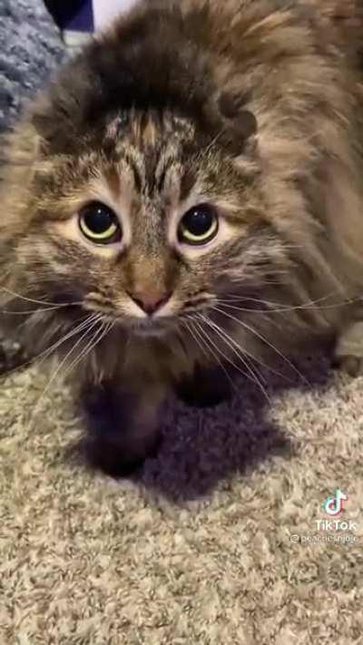 Wench! Who art thou?