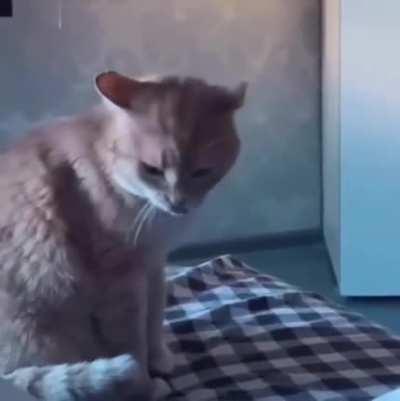 He will have PTSD forever