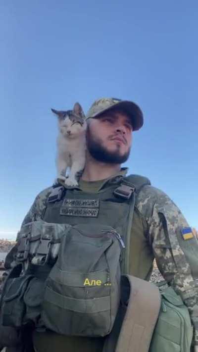 “When you’re a very serious tactical cat, but you can’t repress your instincts” 🇺🇦