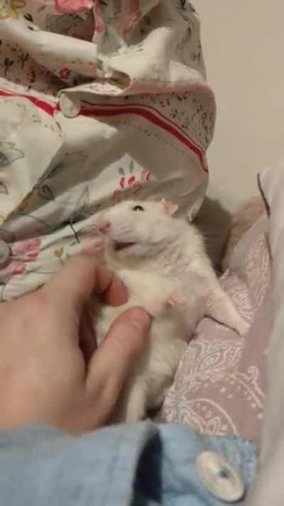 Yes ! Thats the place!