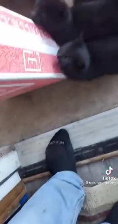 I have so many questions