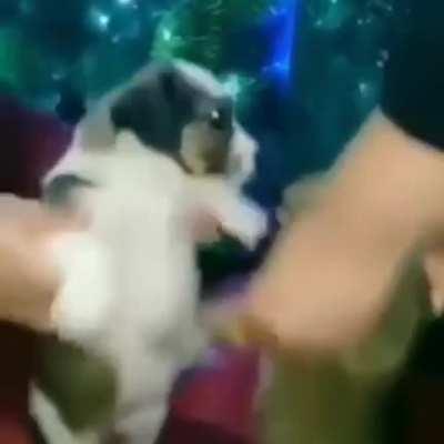 Si si... Esta temblando pero...